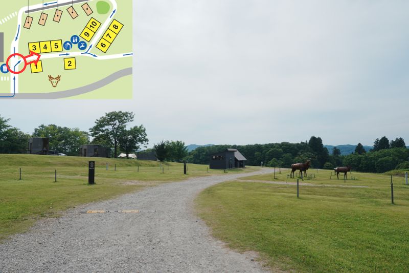 snowpeak headquarters campfield（スノーピーク ヘッドクォーターズ）　区画電源サイト　全景