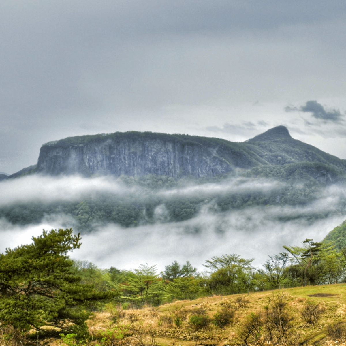 荒船パノラマキャンプフィールド 景色 荒船山 雲海