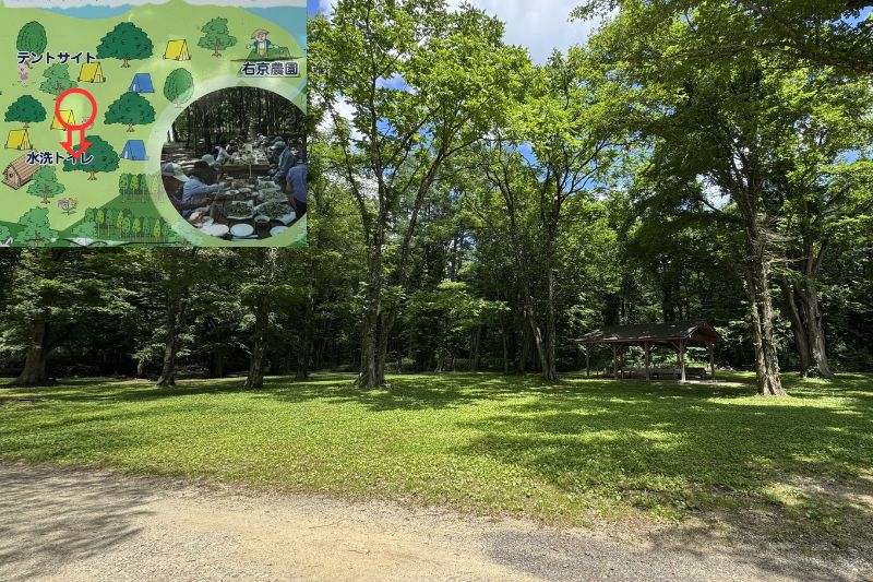 早稲沢浜キャンプ場 テントサイト 解説 最後列1