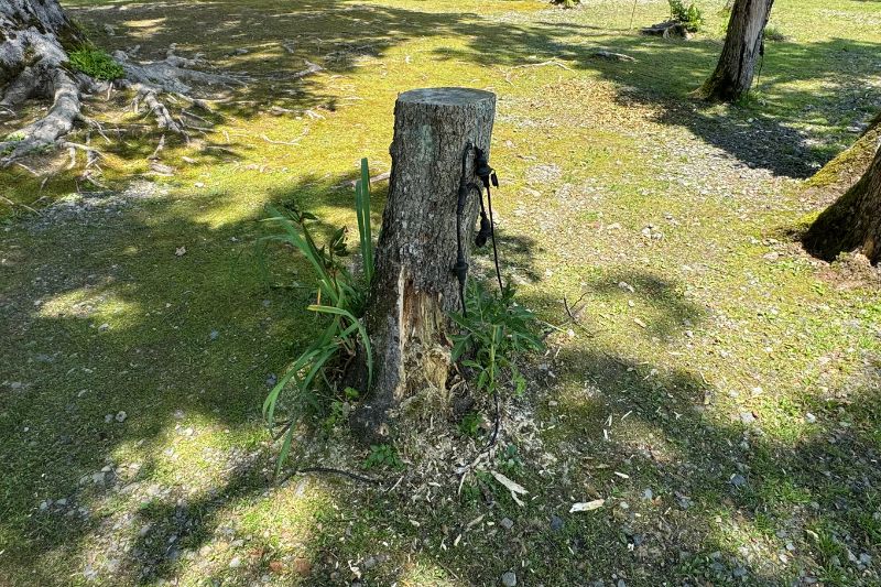 Bandai Lake Side Garden (BLG) 電源